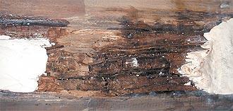 Use E-Wood to replace missing sections of window sills, frames, furniture, or any wood structure
