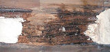 M-Balm: Epoxy Wood Consolidator